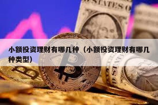 小額投資理財有哪幾種(小額投資理財有哪幾種類型)