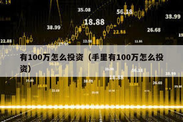 有100萬怎么投資(手里有100萬怎么投資)