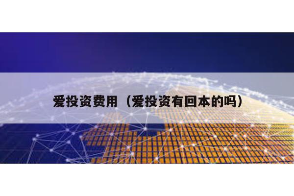 愛投資費用(愛投資有回本的嗎)