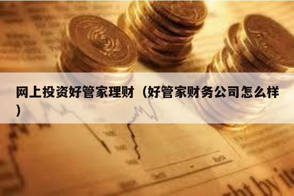 網(wǎng)上投資好管家理財(cái)(好管家財(cái)務(wù)公司怎么樣)
