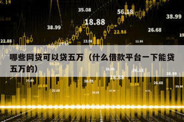 哪些網貸可以貸五萬(什么借款平臺一下能貸五萬的)