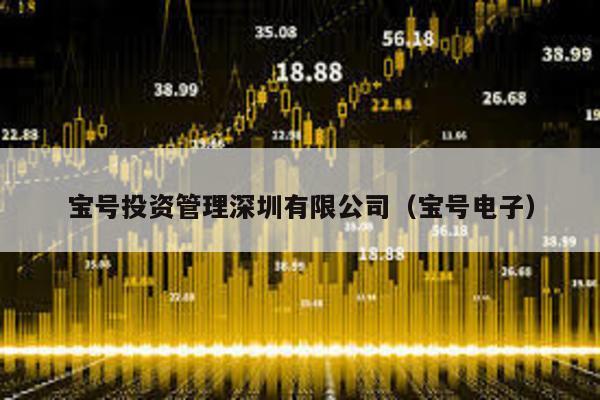 寶號投資管理深圳有限公司(寶號電子)