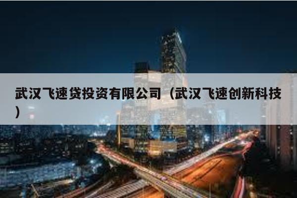 武漢飛速貸投資有限公司(武漢飛速創新科技)