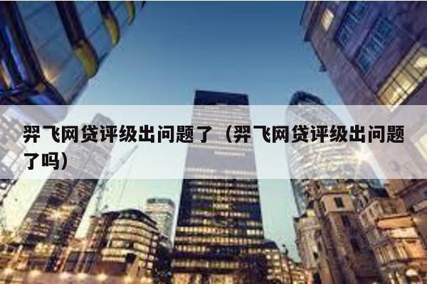 羿飛網貸評級出問題了(羿飛網貸評級出問題了嗎)