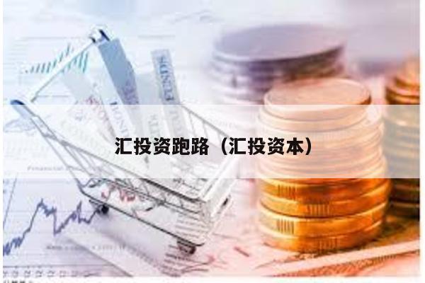 匯投資跑路(匯投資本)