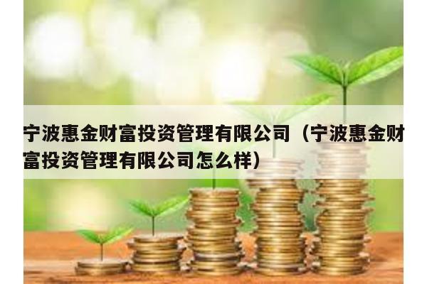 寧波惠金財富投資管理有限公司(寧波惠金財富投資管理有限公司怎么樣)