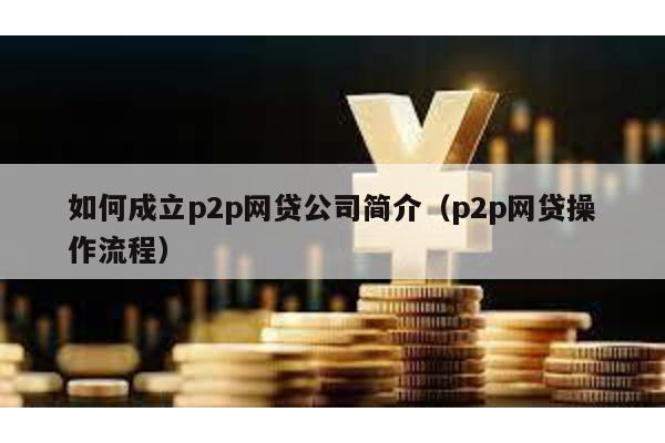 如何成立p2p網貸公司簡介(p2p網貸操作流程)
