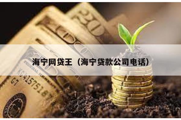 海寧網貸王(海寧貸款公司電話)