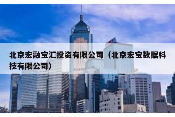 北京宏融寶匯投資有限公司(北京宏寶數據科技有限公司)