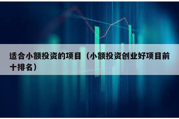 適合小額投資的項(xiàng)目(小額投資創(chuàng)業(yè)好項(xiàng)目前十排名)