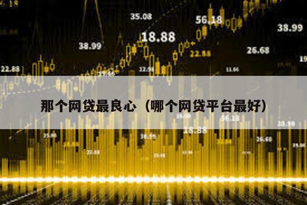 那個網貸最良心(哪個網貸平臺最好)