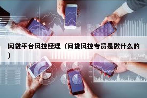 網貸平臺風控經理(網貸風控專員是做什么的)