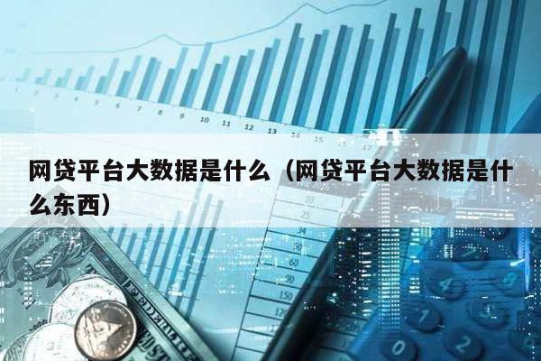 網貸平臺大數據是什么(網貸平臺大數據是什么東西)