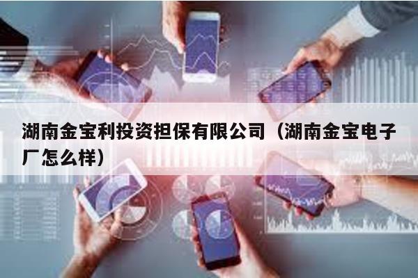 湖南金寶利投資擔保有限公司(湖南金寶電子廠怎么樣)