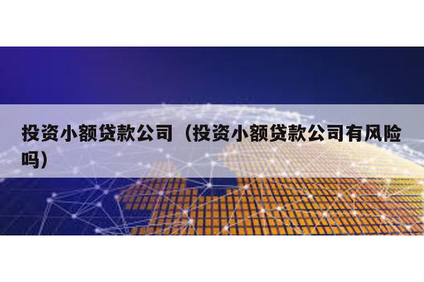 投資小額貸款公司(投資小額貸款公司有風險嗎)