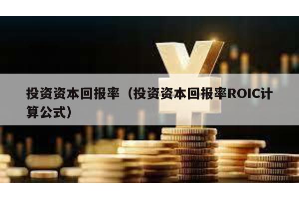 投資資本回報率(投資資本回報率ROIC計算公式)