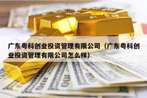 廣東粵科創業投資管理有限公司(廣東粵科創業投資管理有限公司怎么樣)