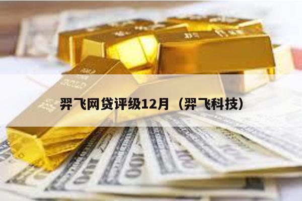羿飛網(wǎng)貸評級12月(羿飛科技)