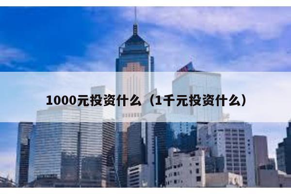1000元投資什么(1千元投資什么)