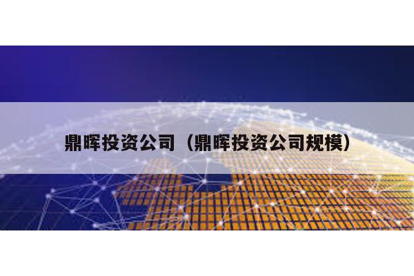 鼎暉投資公司(鼎暉投資公司規(guī)模)