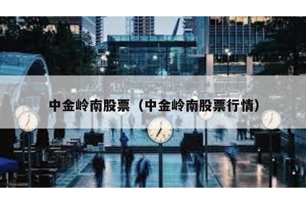 中金嶺南股票(中金嶺南股票行情)