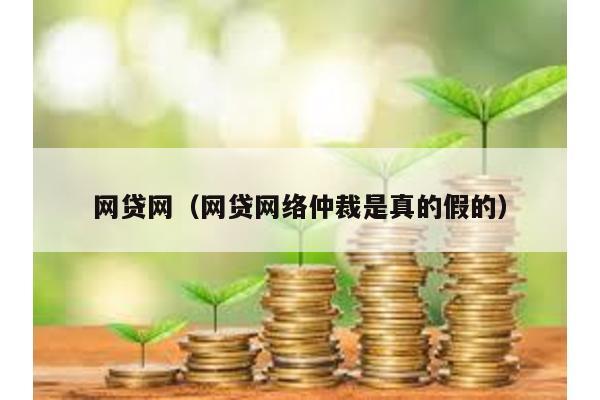 網貸網(網貸網絡仲裁是真的假的)