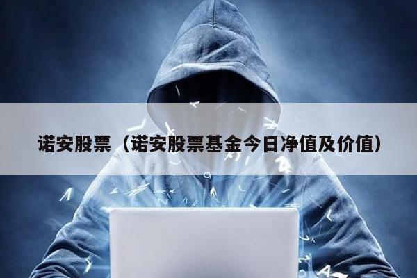 諾安股票(諾安股票基金今日凈值及價值)