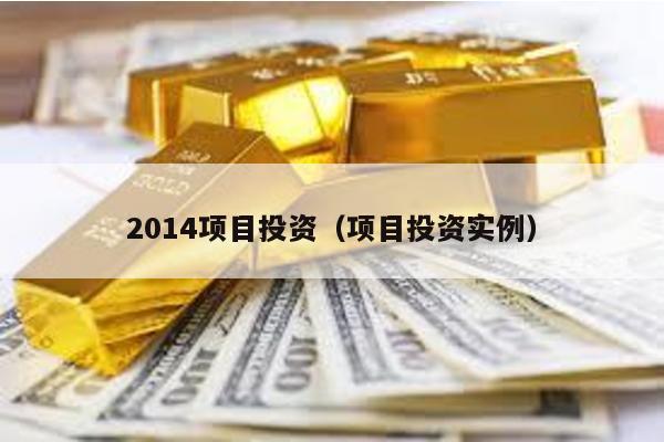 2014項目投資(項目投資實例)