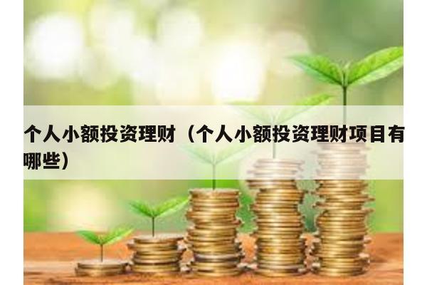 個人小額投資理財(個人小額投資理財項目有哪些)