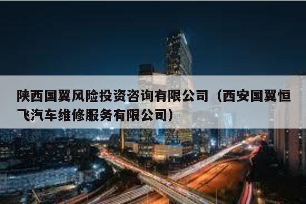 陜西國翼風險投資咨詢有限公司(西安國翼恒飛汽車維修服務有限公司)