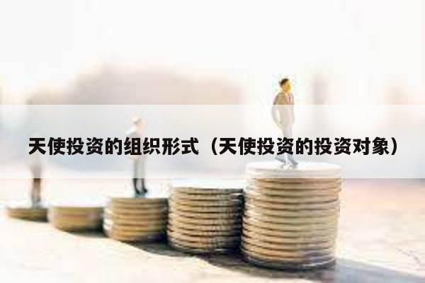 天使投資的組織形式(天使投資的投資對象)