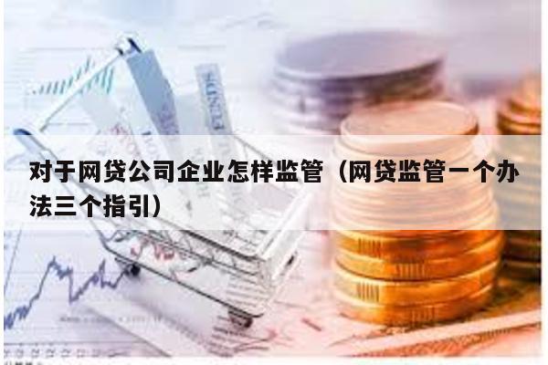 對于網貸公司企業怎樣監管(網貸監管一個辦法三個指引)