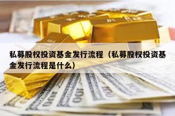 私募股權投資基金發行流程(私募股權投資基金發行流程是什么)