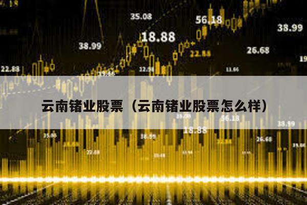 云南鍺業股票(云南鍺業股票怎么樣)