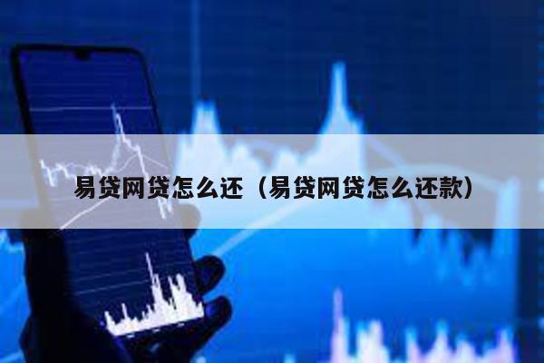 易貸網貸怎么還(易貸網貸怎么還款)
