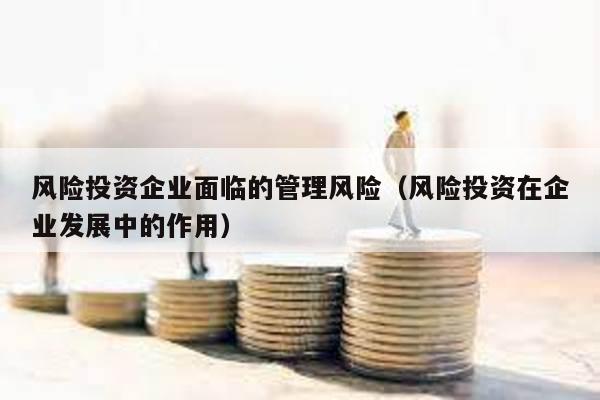 風險投資企業面臨的管理風險(風險投資在企業發展中的作用)