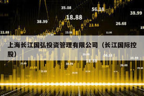 上海長江國弘投資管理有限公司(長江國際控股)