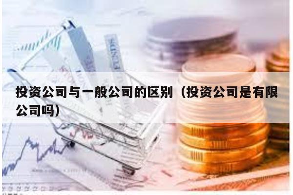 投資公司與一般公司的區(qū)別(投資公司是有限公司嗎)