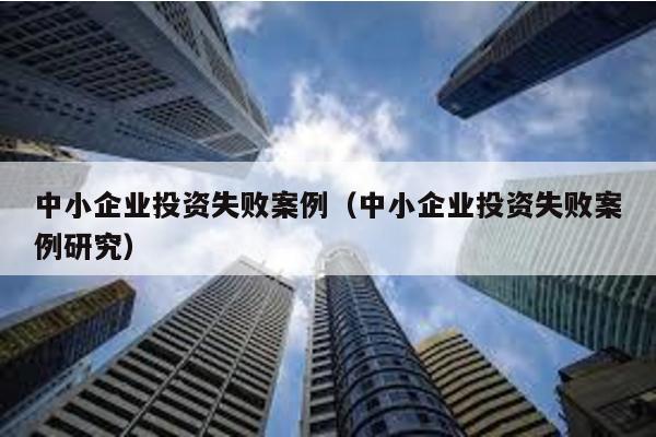 中小企業(yè)投資失敗案例(中小企業(yè)投資失敗案例研究)