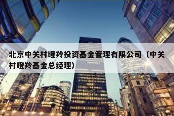 北京中關村瞪羚投資基金管理有限公司(中關村瞪羚基金總經理)