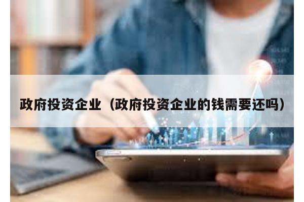 政府投資企業(yè)(政府投資企業(yè)的錢需要還嗎)