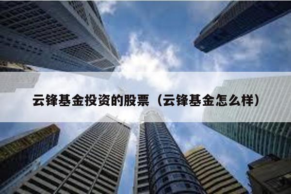 云鋒基金投資的股票(云鋒基金怎么樣)