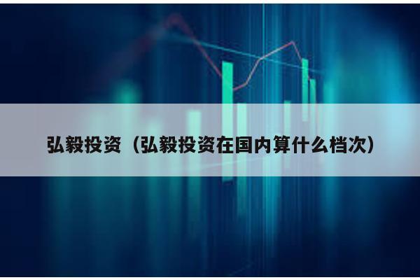 弘毅投資(弘毅投資在國內算什么檔次)